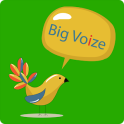 Big Voize-Lite