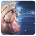Cardiología 3D peq.animales(1)