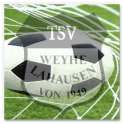 TSVWL Soccer