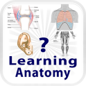 Learning Anatomy Quiz