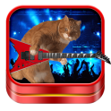Cat Ringtones and Wallpapers