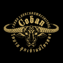 Team Coban