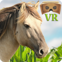 VR Horse Ride