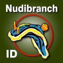 Nudibranch ID Australia NZ