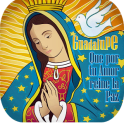 Milagrosa Virgen de Guadalupe