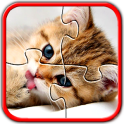 Kitten Cat Jigsaw Puzzles Brain Game for Kids Free