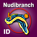 Nudibranch ID EAtlantic Med