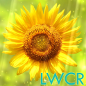 sunflower lwp