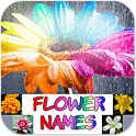 Flower Names, Colors, Features