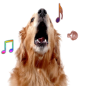Dog Bark Мелодии