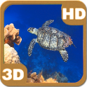 Turtle Swimming Coral Reef