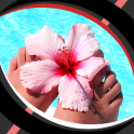 Live Wallpapers – Hibiscus