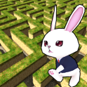 Rabbit explore the 3D maze!!