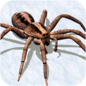 Ultimate Spider Simulator