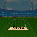 Cricket 2d