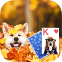 Solitaire Playful Dog Theme