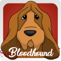 Bloodhound