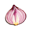 Onion Search Engine