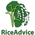 RiceAdvice