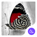Butterfly dream APUS theme & HD wallpapers