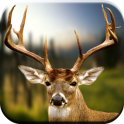 Deer Hunting Llamadas