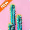 Cactus Wallpapers