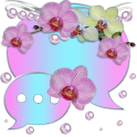 Tender Orchids Go SMS Theme