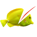 Swipe To Cut Swimming Fish