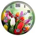 Colorful Tulips Clock Live WP