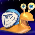 TSV Aurich 1967