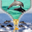 Dolphin Zipper Lock Screen
