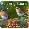 Birds Relaxing Sounds