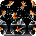 Goldfish HD Live Wallpaper