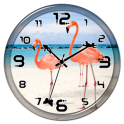 Flamingo Clock Live Wallpaper