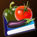 Vegetables Dictionary Multi