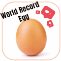The world record egg - Challenge