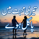 Teri mohabbat mein pagal huy Urdu novel