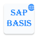 SAP BASIS Admin - Global