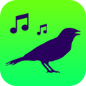 All Birds of North America - Birds Songs