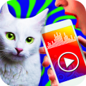 Cat translator - prank app