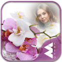 Orchid Photo Frames
