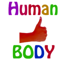 Human Body Parts For Kids