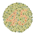 ColorBlindness SimulateCorrect
