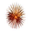 MGCS Fireworks Live Wallpaper
