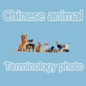 Learn Chinese with animals.