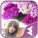 Lilac Flower Photo Frames