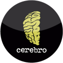 Cerebro RT