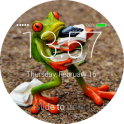 Frog Lock Screen