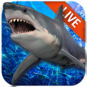 Live Wallpaper with Shark in the Ocean