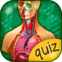 The Human Anatomy Quiz App On Human Body Organs